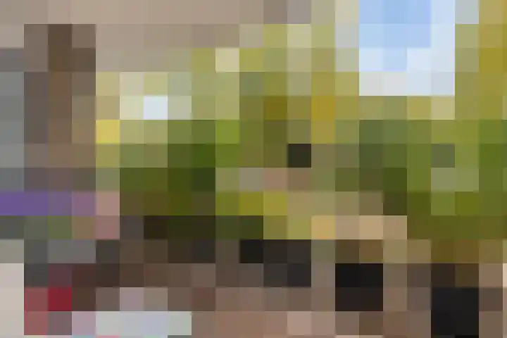 François Mauriacweg 37 De Bilt thumbnail 19