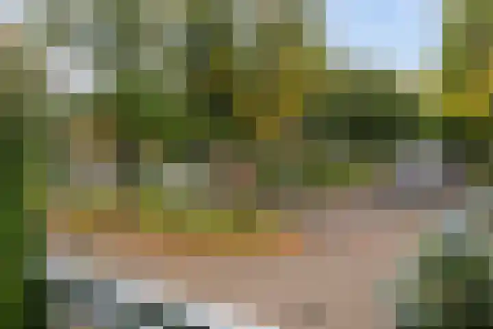 François Mauriacweg 37 De Bilt thumbnail 20