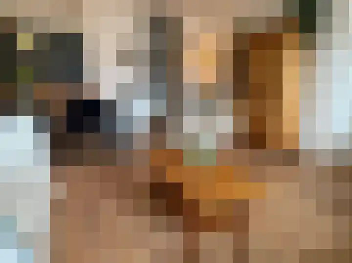 François Mauriacweg 37 De Bilt thumbnail 7