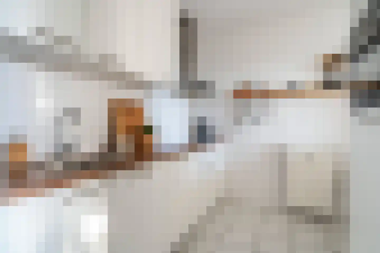 François Mauriacweg 69 De Bilt thumbnail 13