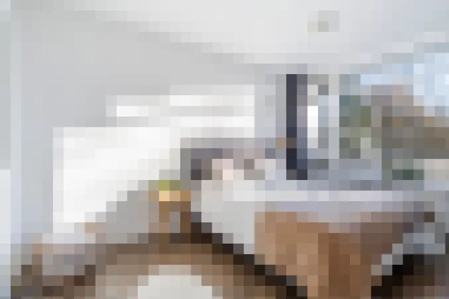 François Mauriacweg 69 De Bilt thumbnail 17