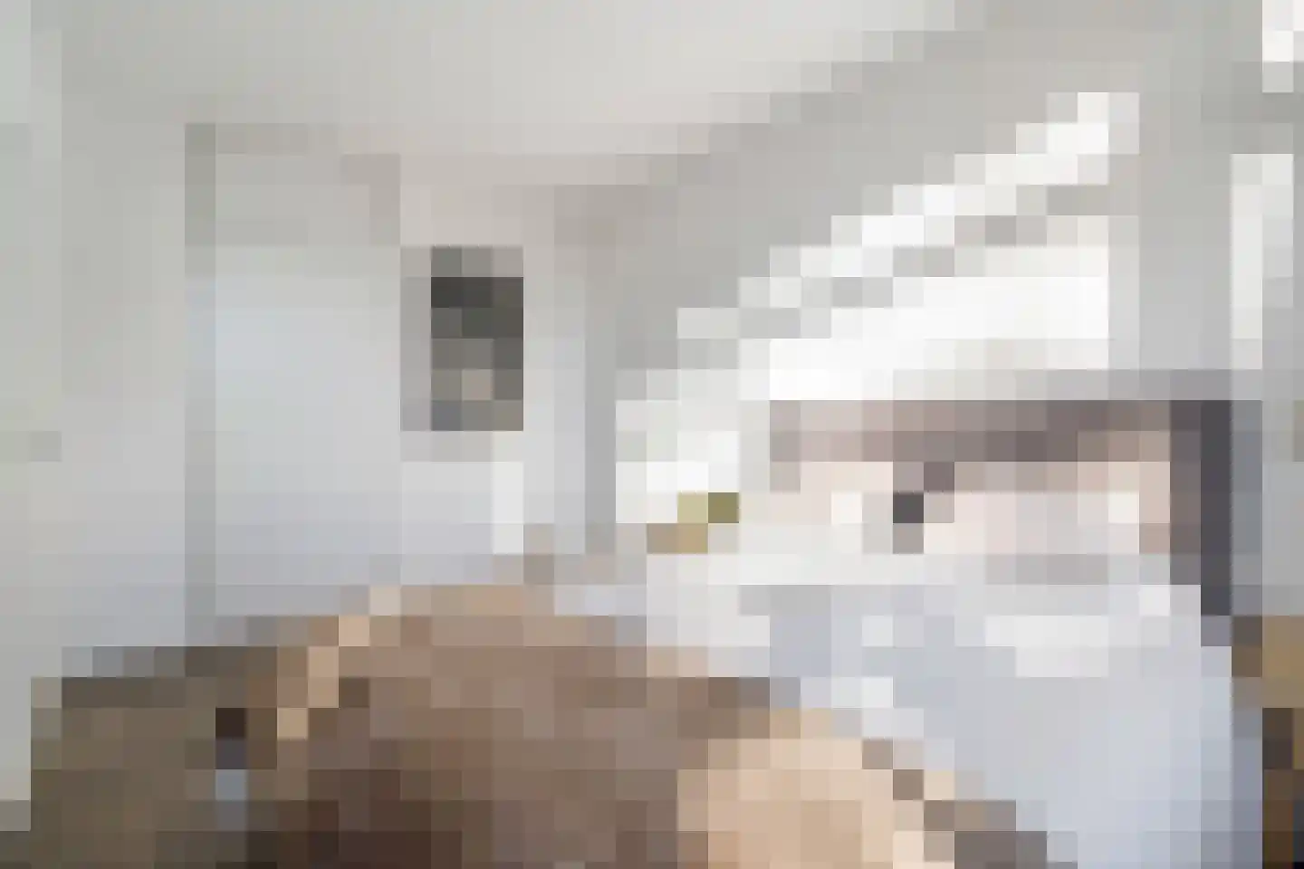 François Mauriacweg 69 De Bilt thumbnail 20