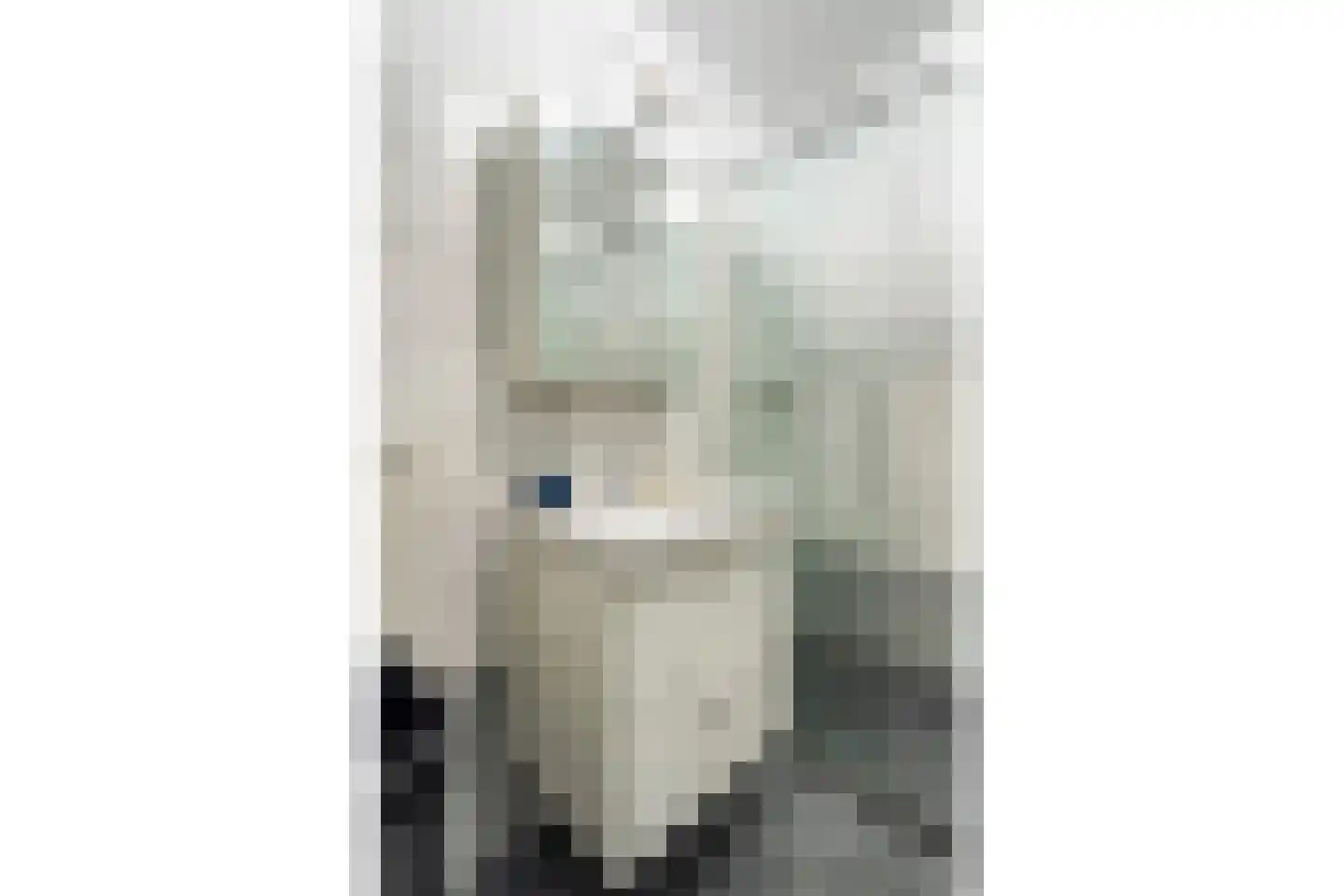 François Mauriacweg 69 De Bilt thumbnail 25