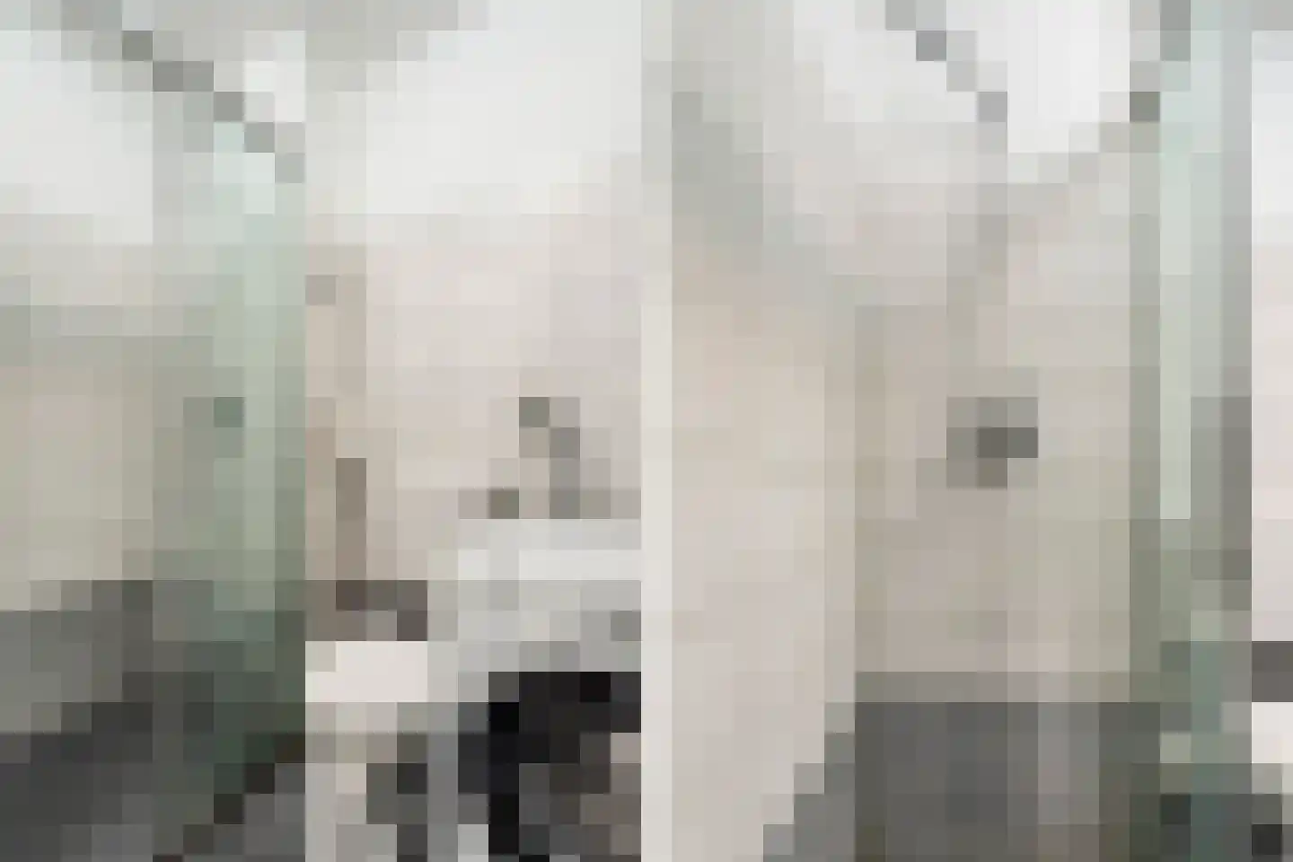 François Mauriacweg 69 De Bilt thumbnail 26