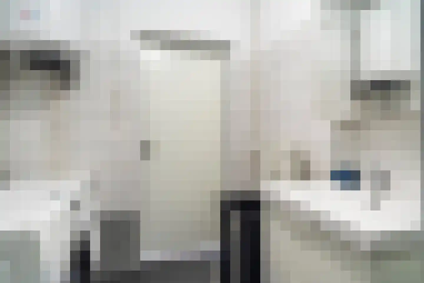 François Mauriacweg 69 De Bilt thumbnail 27
