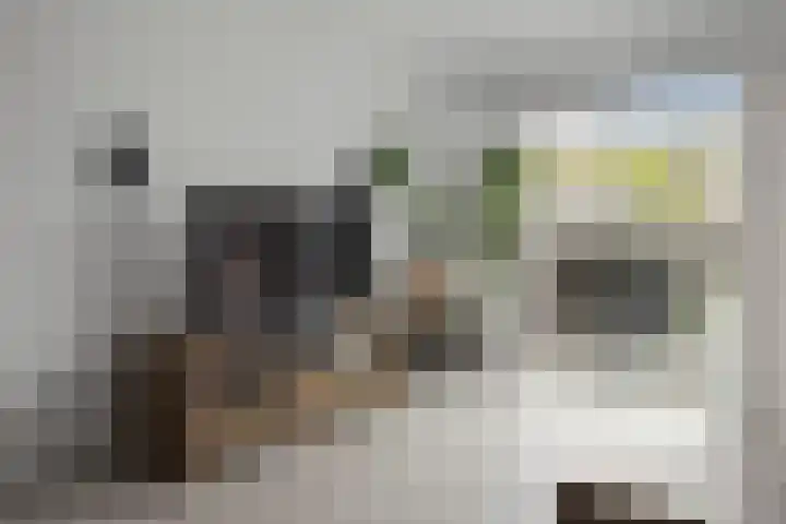 François Valentijnstraat 135 Almere thumbnail 6