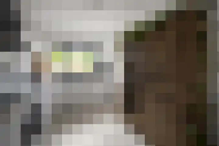 François Valentijnstraat 135 Almere thumbnail 9