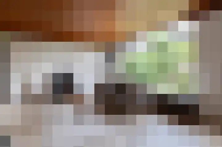 Françoise de Lanoistraat 8 Buren thumbnail 16