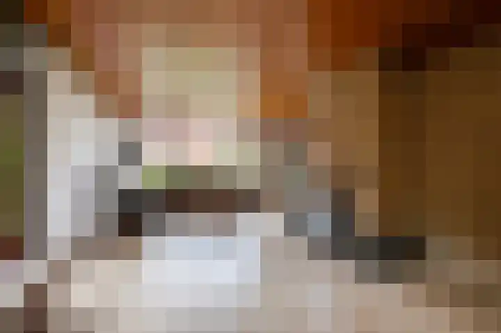 Françoise de Lanoistraat 8 Buren thumbnail 23