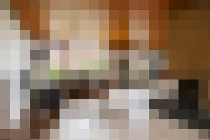 Françoise de Lanoistraat 8 Buren thumbnail 24