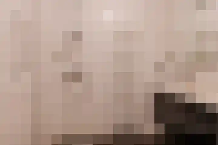 Françoise de Lanoistraat 8 Buren thumbnail 29