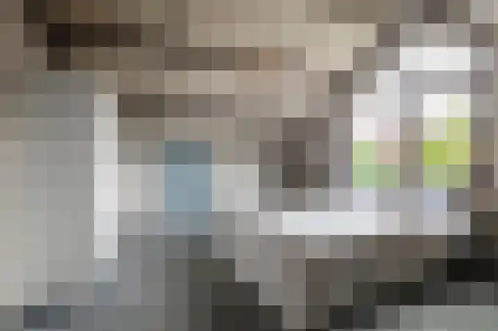 Françoise de Lanoistraat 8 Buren thumbnail 34