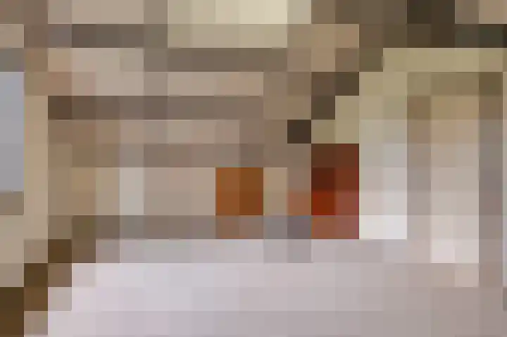 Françoise de Lanoistraat 8 Buren thumbnail 36