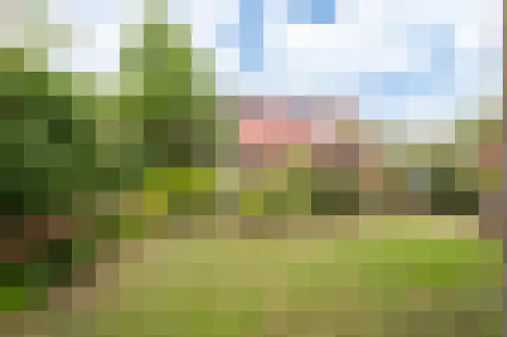Françoise de Lanoistraat 8 Buren thumbnail 4