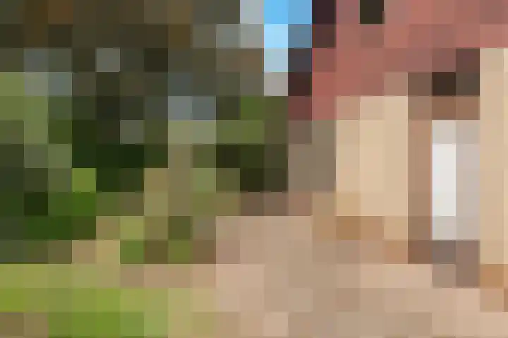 Françoise de Lanoistraat 8 Buren thumbnail 43