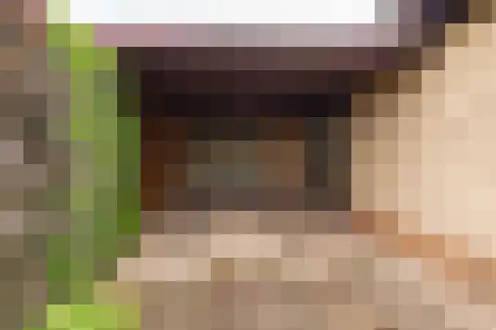 Françoise de Lanoistraat 8 Buren thumbnail 5