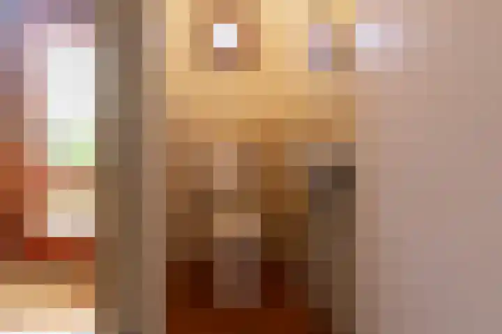 Françoise de Lanoistraat 8 Buren thumbnail 8