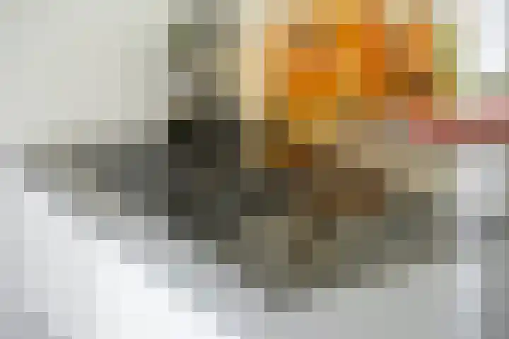 Françoise van Savoyetoren 18 Breda thumbnail 26