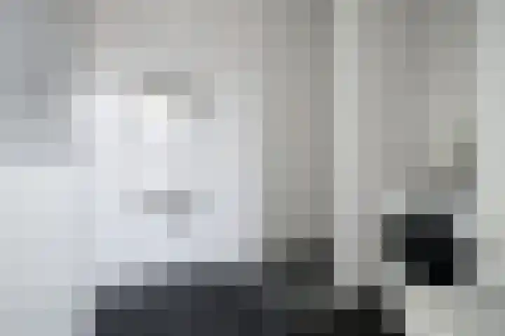 Françoise van Savoyetoren 18 Breda thumbnail 33