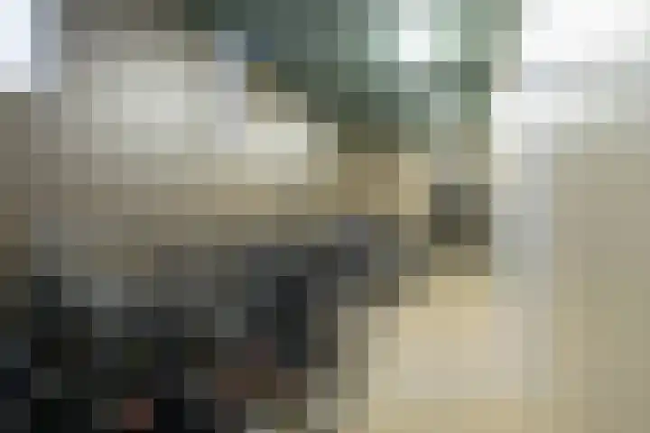 Françoise van Savoyetoren 18 Breda thumbnail 38