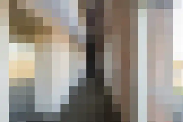 Françoise van Savoyetoren 18 Breda thumbnail 9