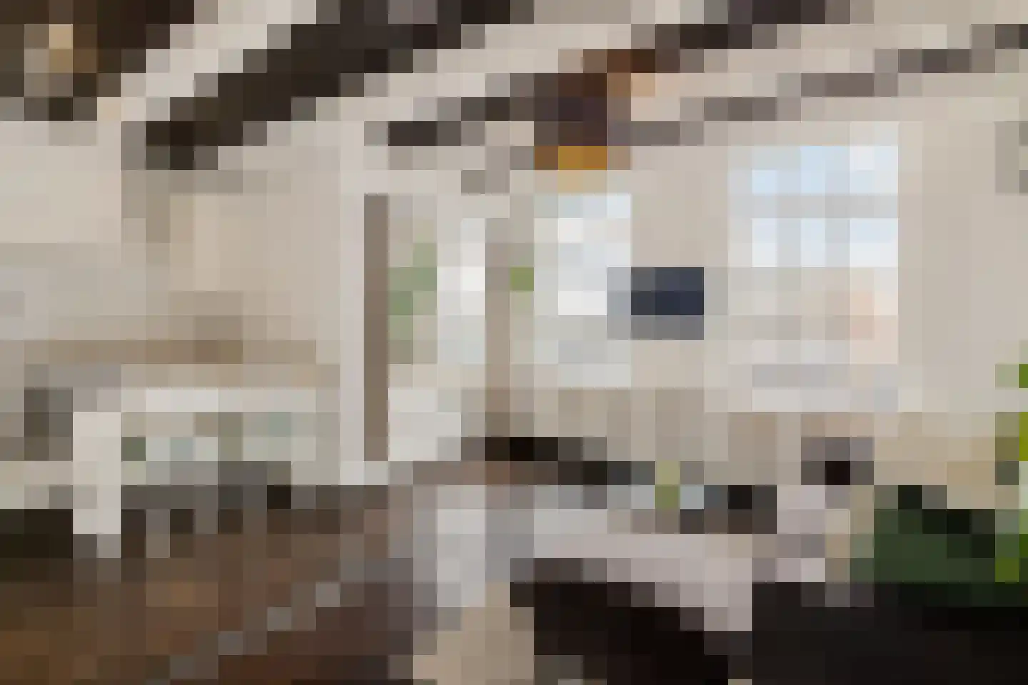 Franekereind 15 Harlingen thumbnail 24