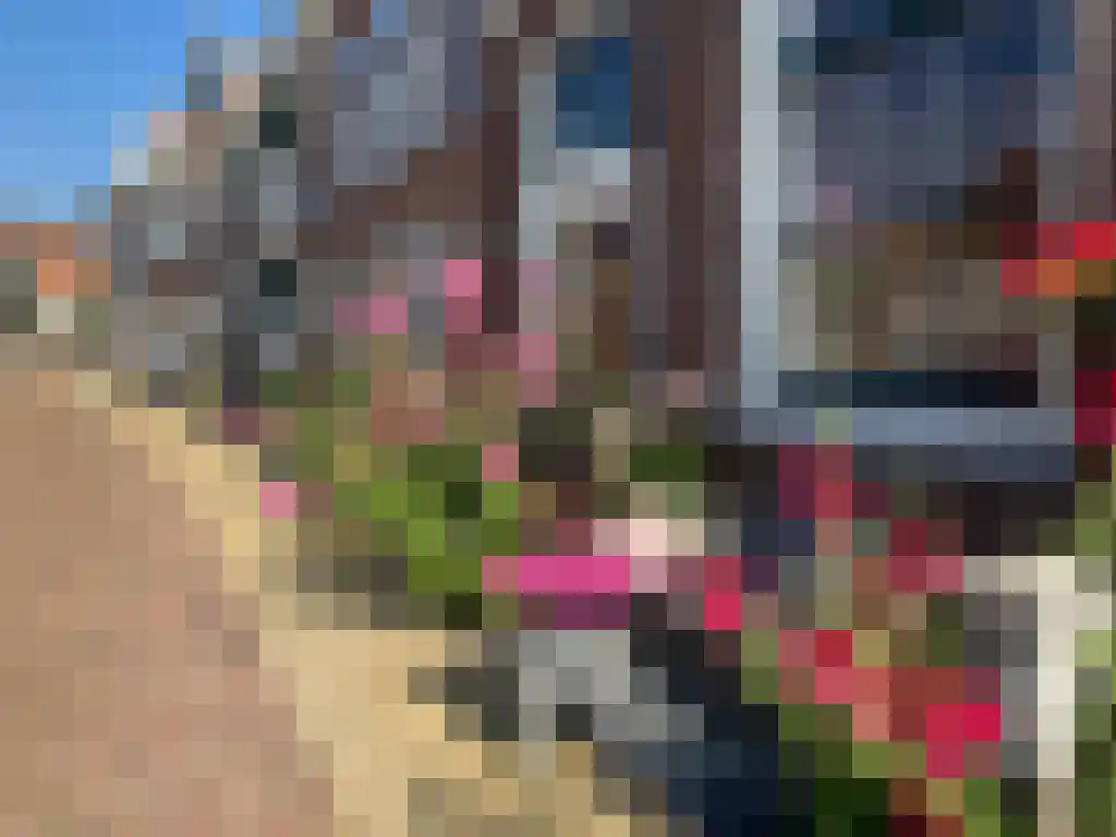Franekereind 15 Harlingen thumbnail 53