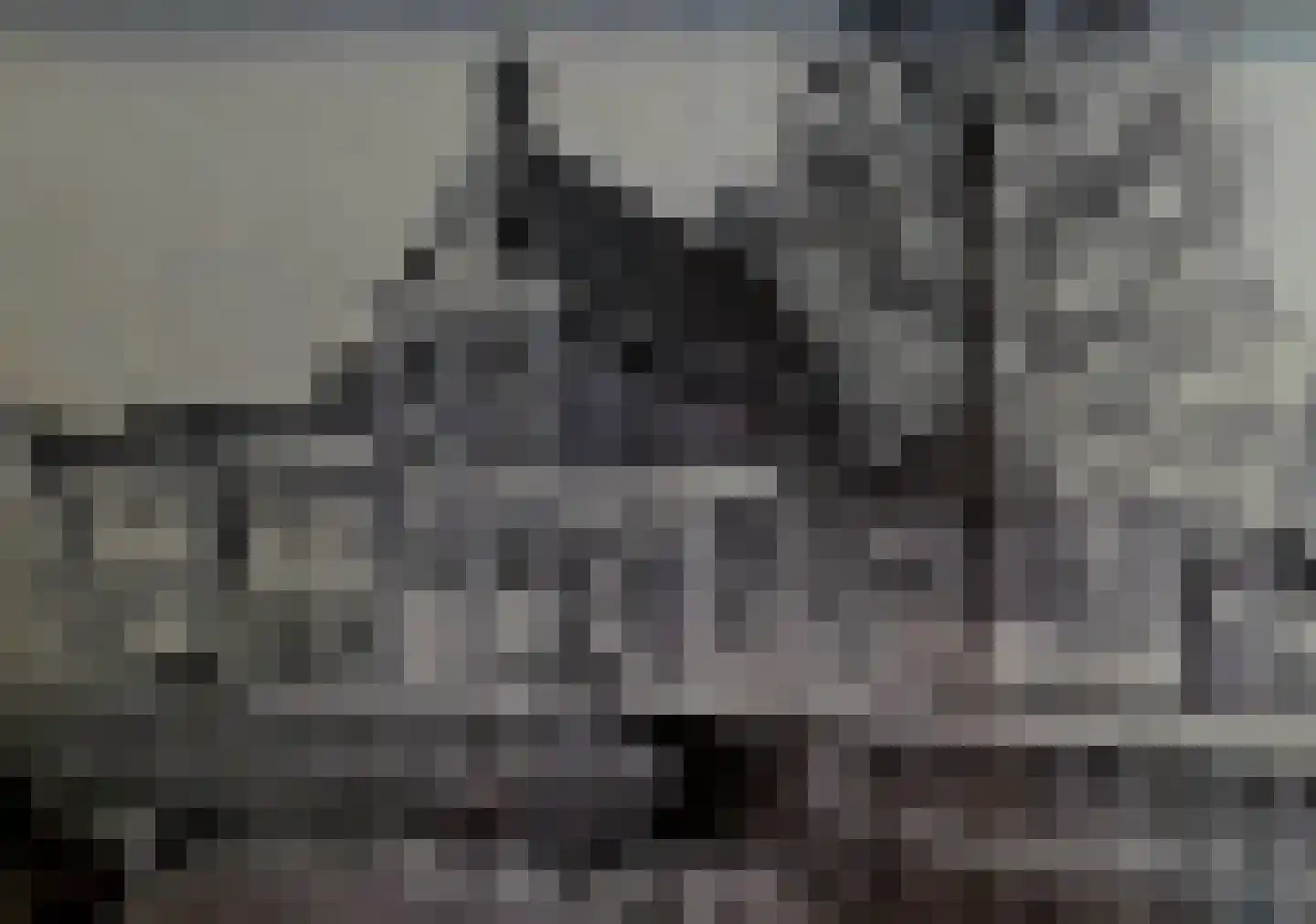 Franekereind 15 Harlingen thumbnail 57