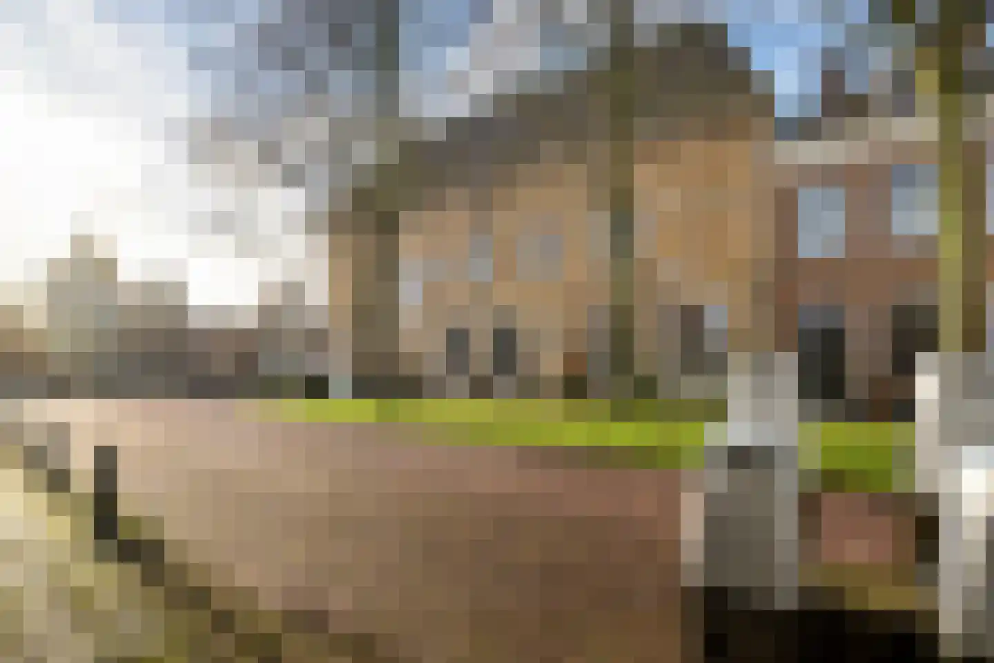 Franekereind 15 Harlingen thumbnail 6