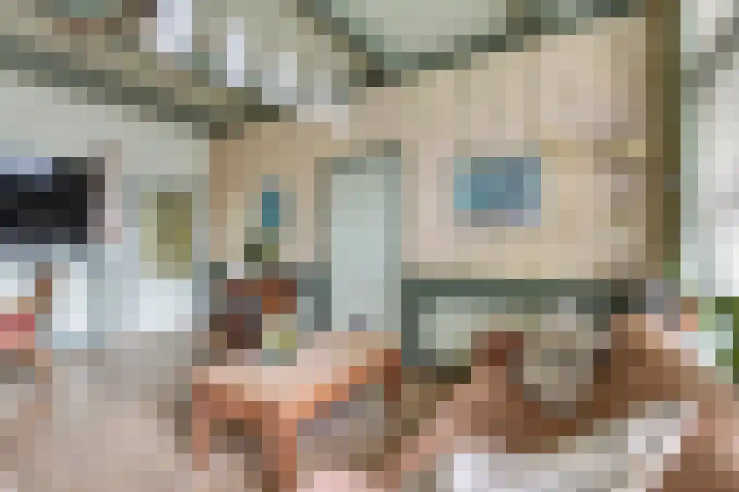 Franekereind 36 Harlingen thumbnail 4