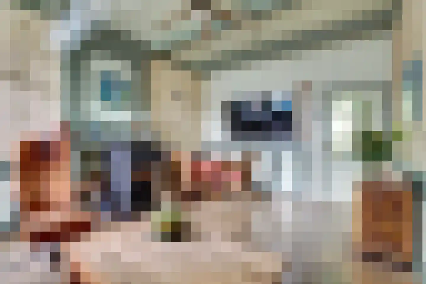 Franekereind 36 Harlingen thumbnail 5