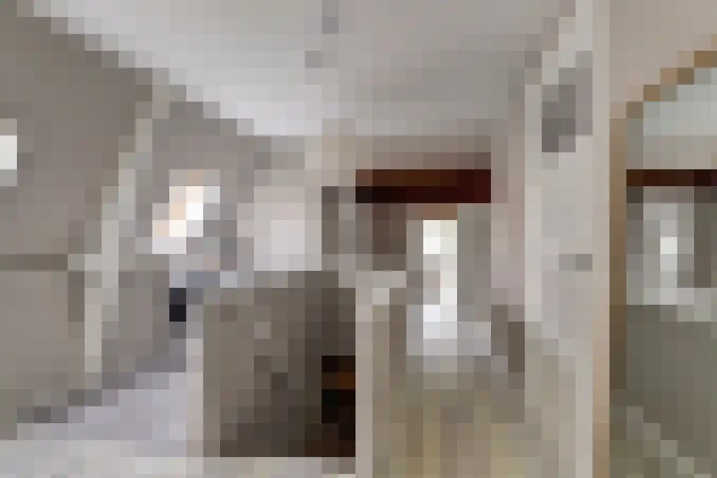 Franekereind 8 A Harlingen thumbnail 18