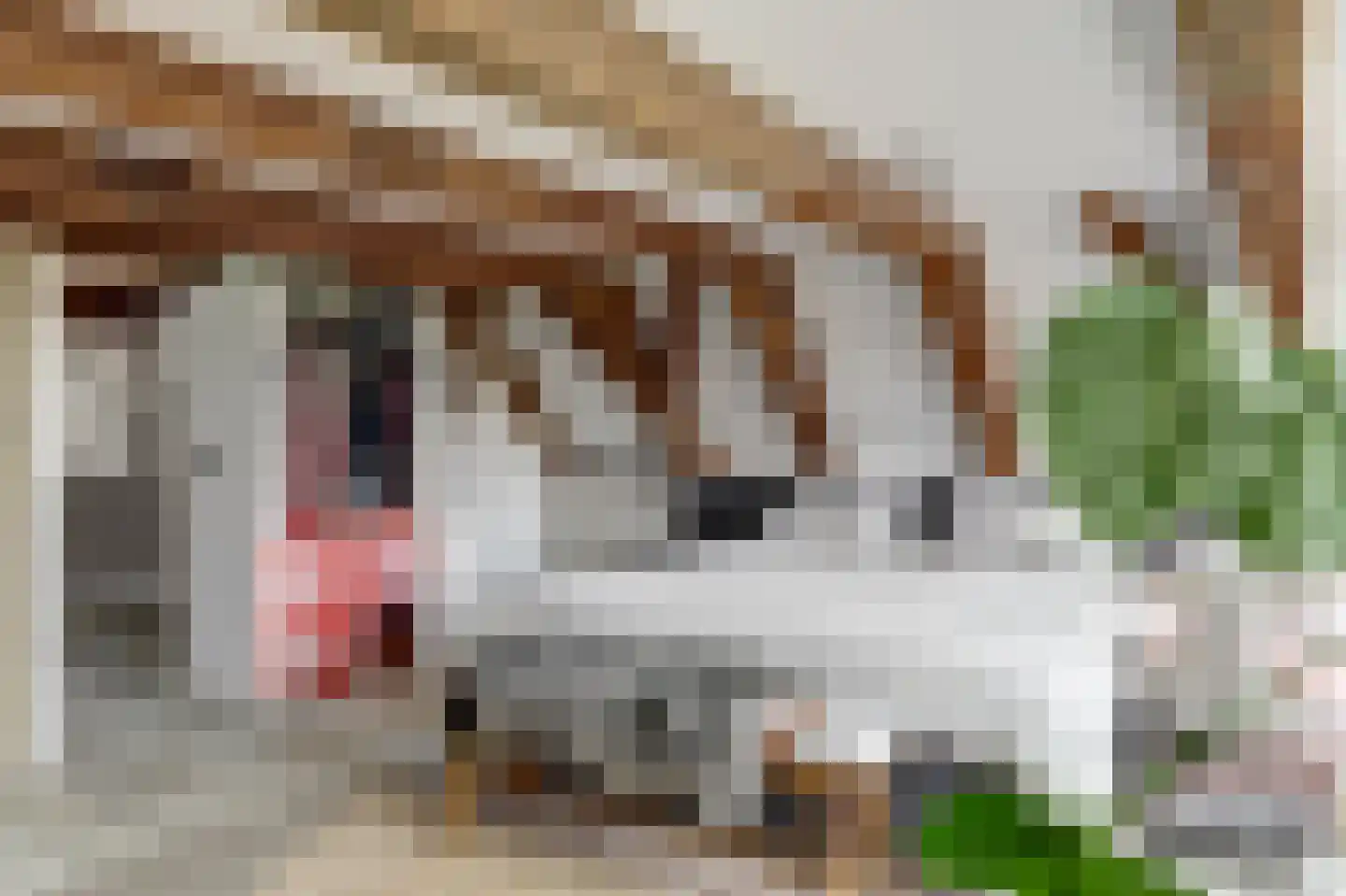Franekereind 8 A Harlingen thumbnail 21