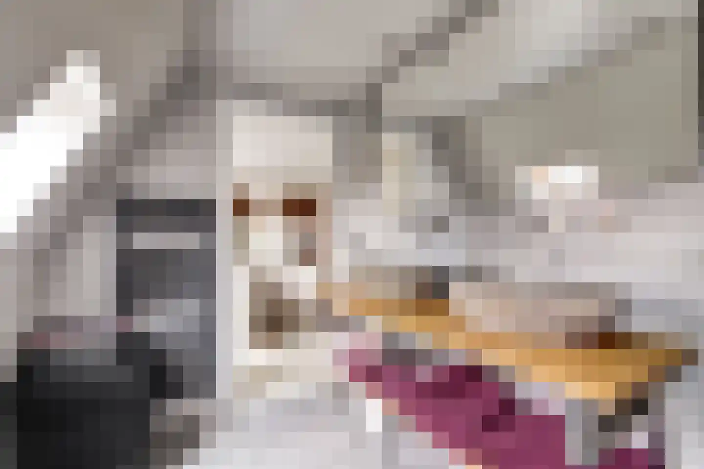 Franekereind 8 A Harlingen thumbnail 26