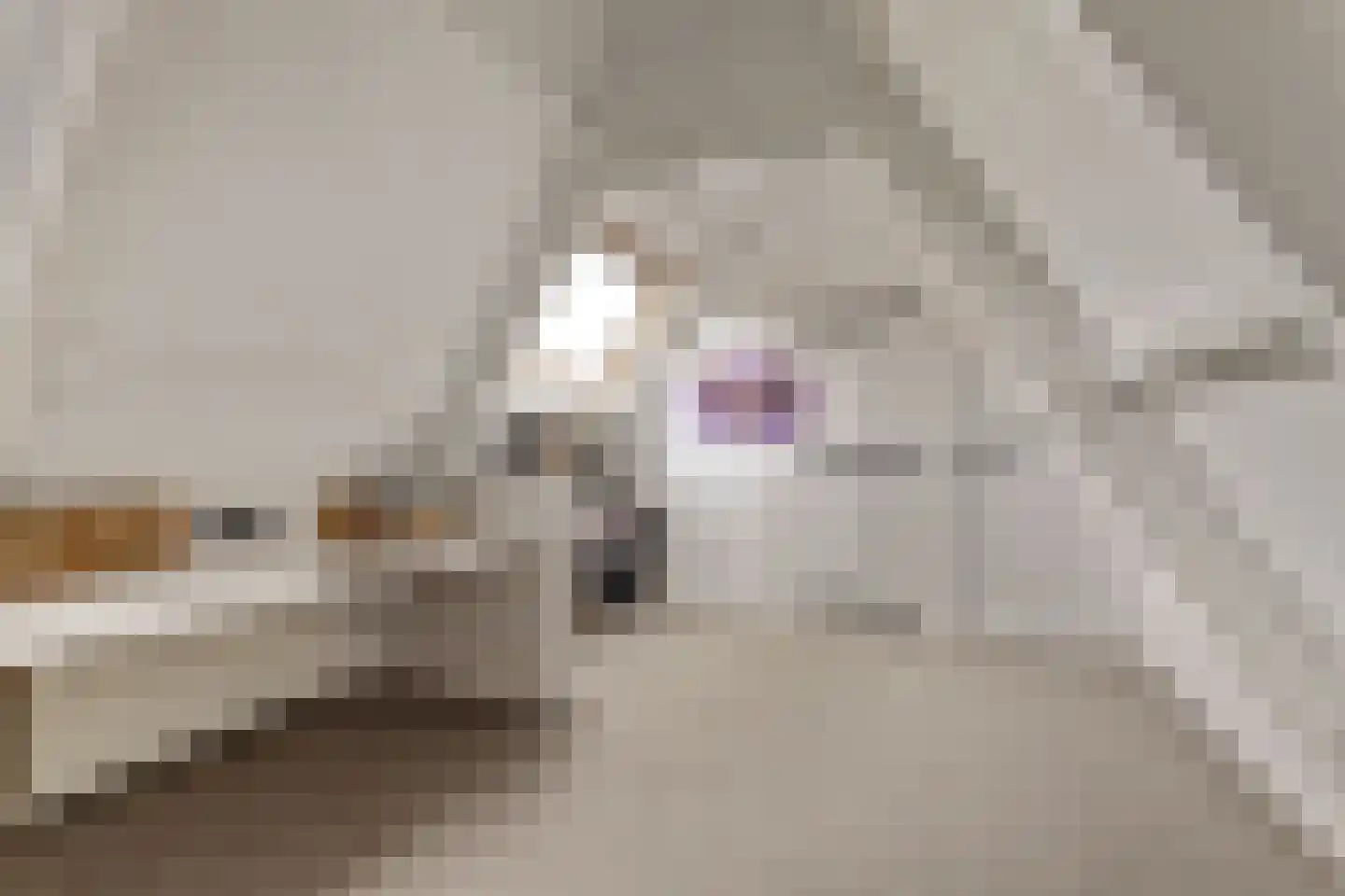 Franekereind 8 A Harlingen thumbnail 31