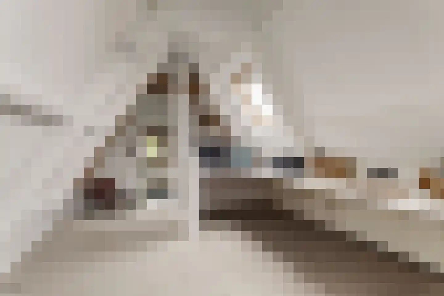 Franekereind 8 A Harlingen thumbnail 32