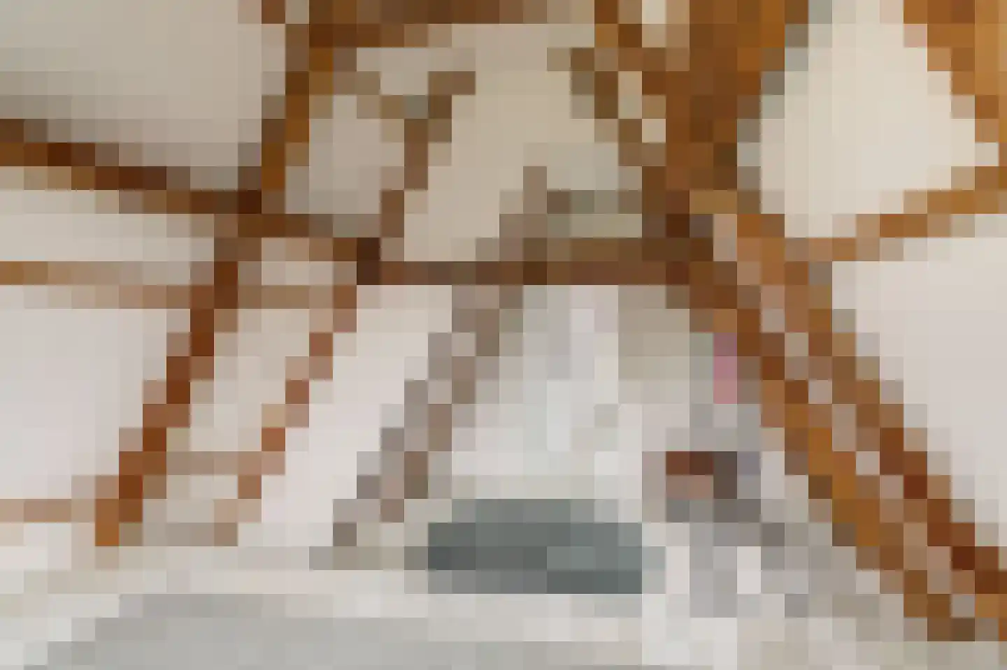 Franekereind 8 A Harlingen thumbnail 34