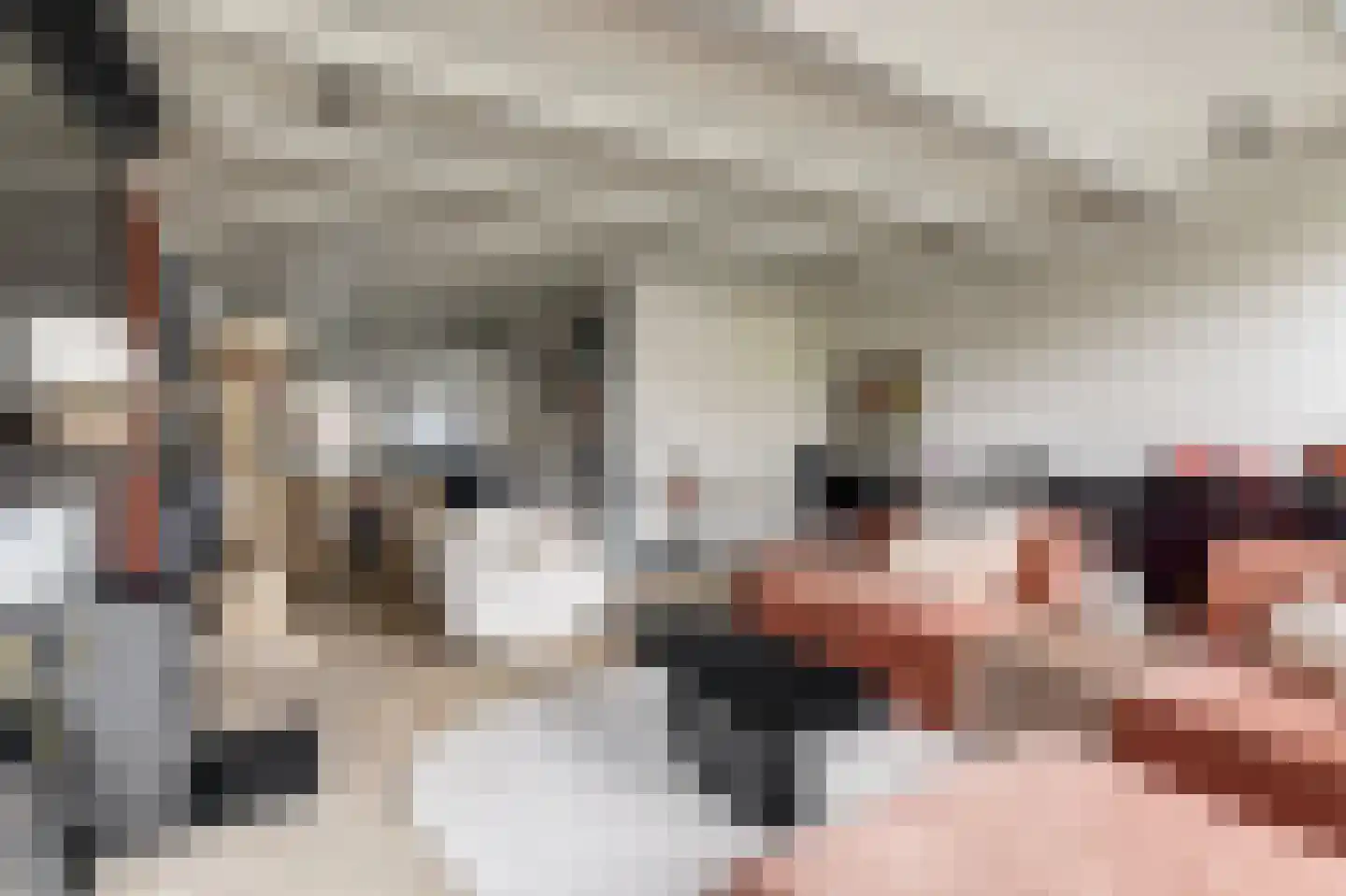 Franekereind 8 A Harlingen thumbnail 4