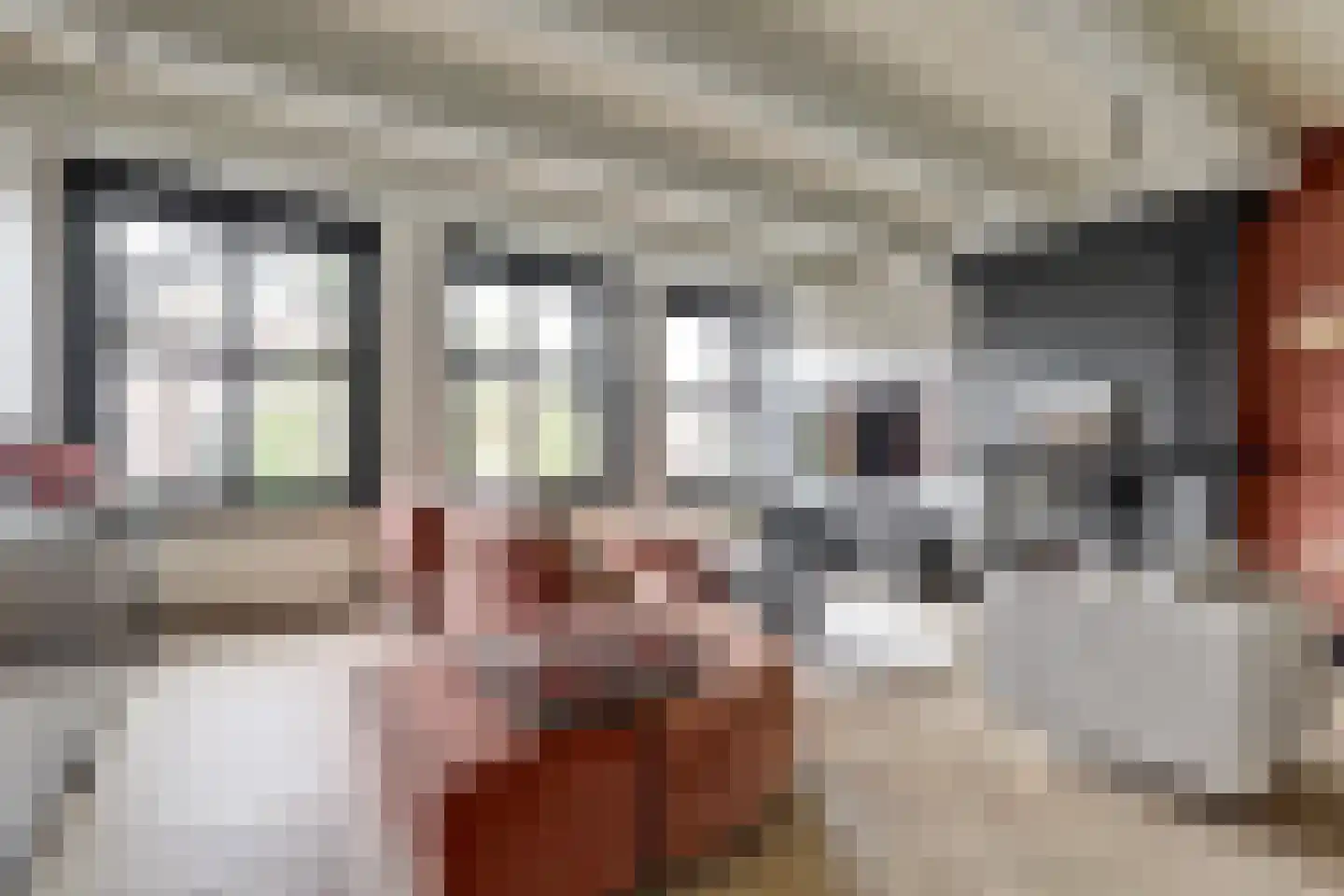 Franekereind 8 A Harlingen thumbnail 6