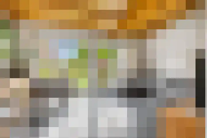 Franekerkade 17 Arum thumbnail 10