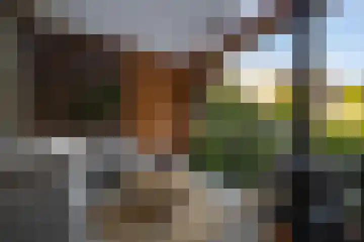 Franekerkade 17 Arum thumbnail 39