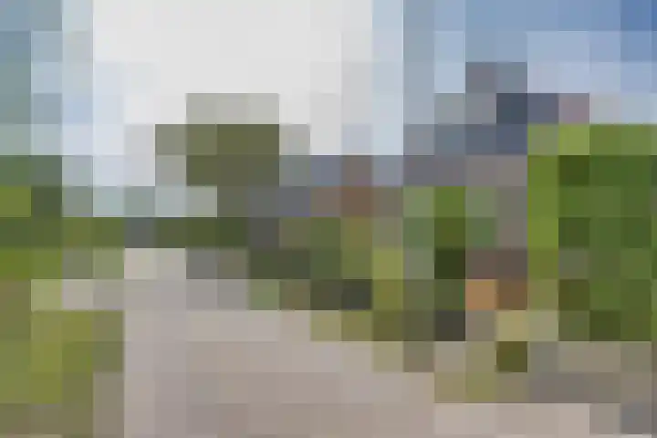 Franekerkade 17 Arum thumbnail 4