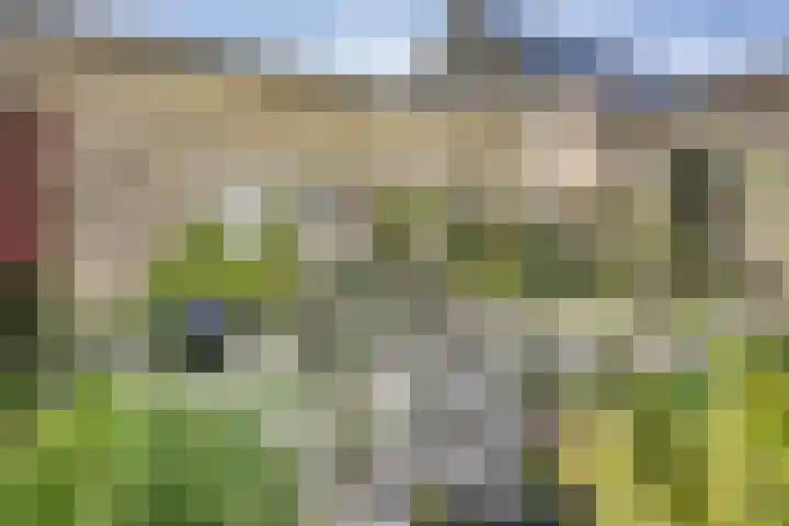 Franekerkade 17 Arum thumbnail 47