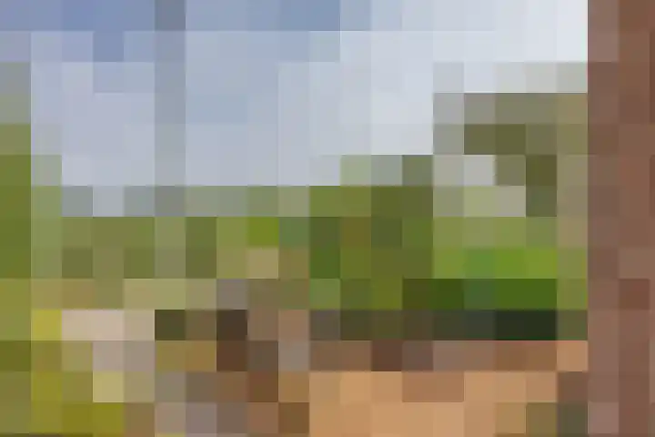 Franekerkade 17 Arum thumbnail 48