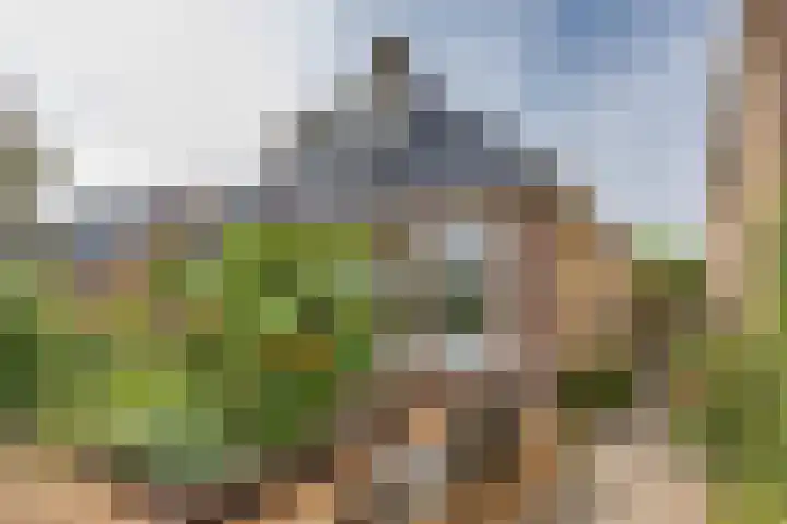 Franekerkade 17 Arum thumbnail 5