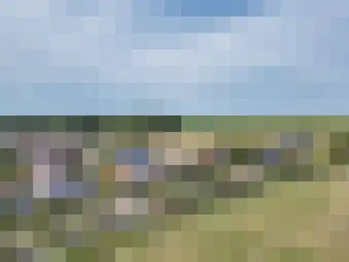 Franekerkade 17 Arum thumbnail 51