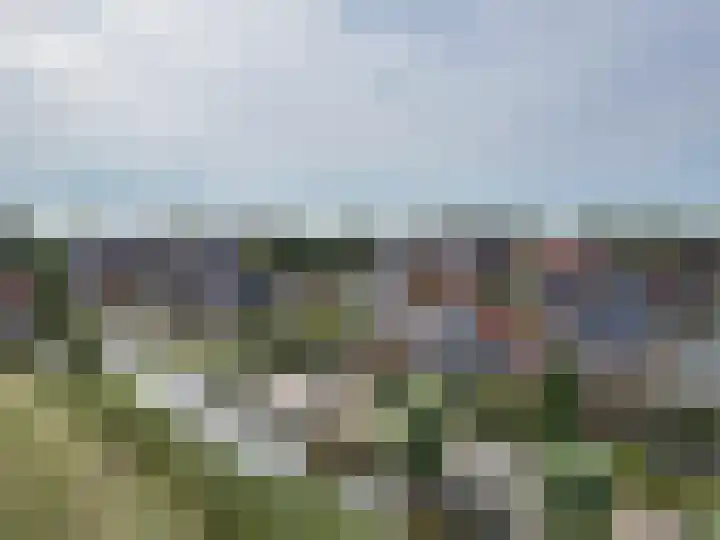 Franekerkade 17 Arum thumbnail 59