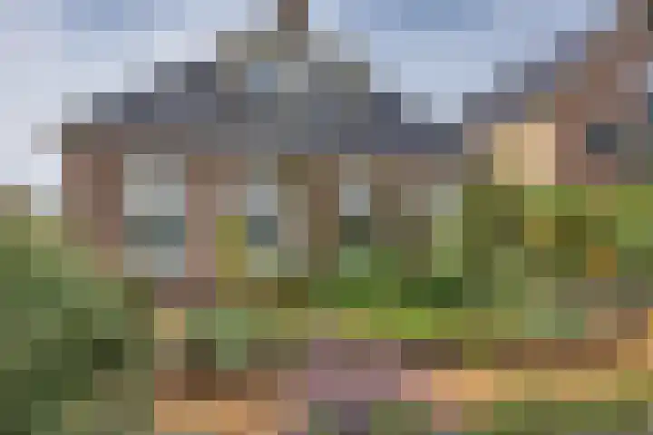 Franekerkade 17 Arum thumbnail 7