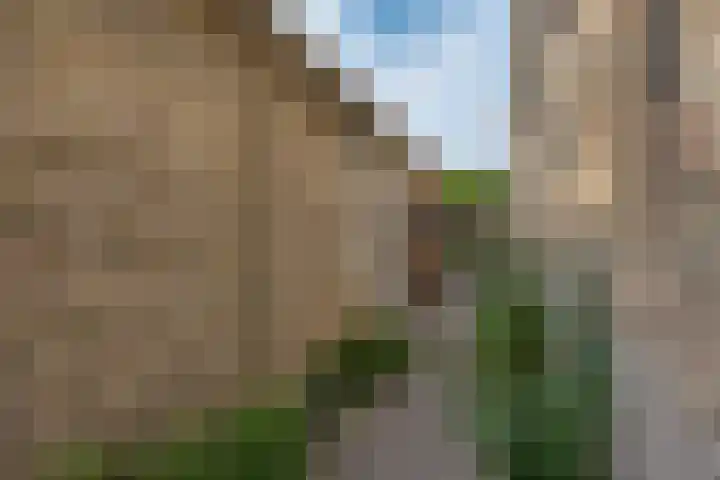 Franekerkade 17 Arum thumbnail 8