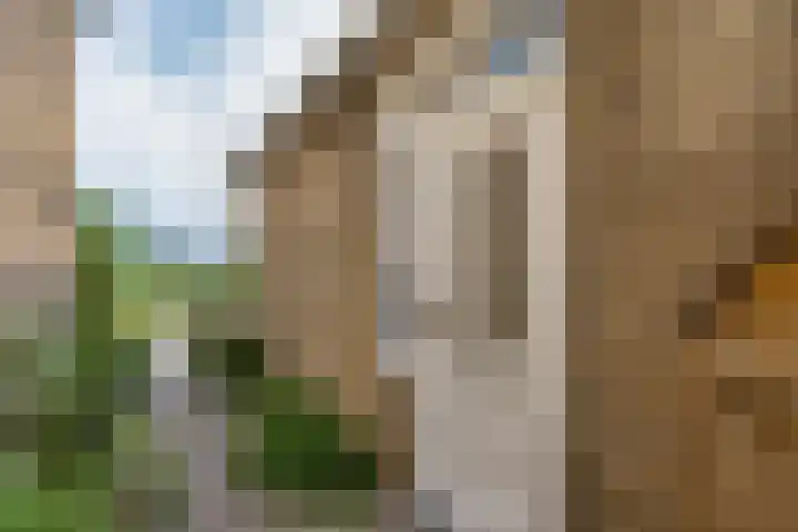 Franekerkade 17 Arum thumbnail 9